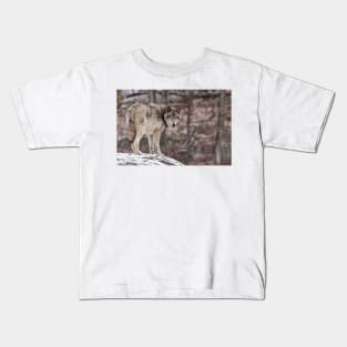 Timber Wolf On Rock Kids T-Shirt